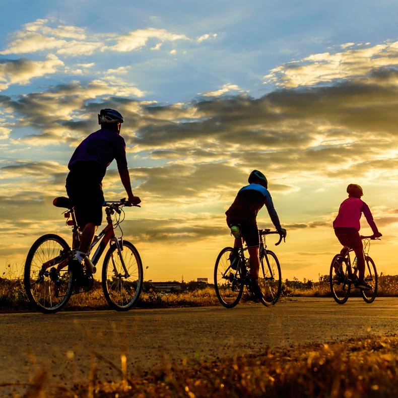 10 Best Bikes in 2020, for Road, Mountain and City Rides