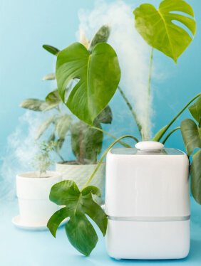 Create a calming with this stylish diffuser